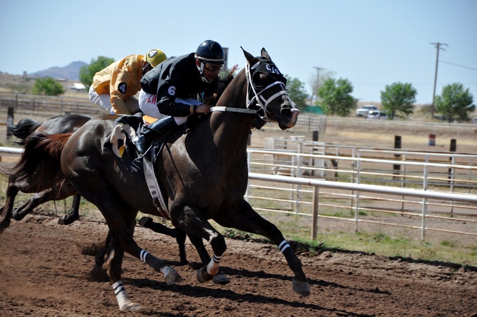 Santa Cruz Fair Rodeo Association Visit the Sky Islands of Arizona