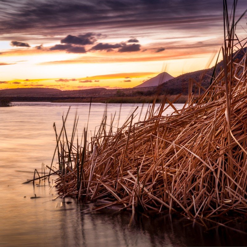 How To Spend A Day In Quirky Patagonia - Visit The Sky Islands Of Arizona