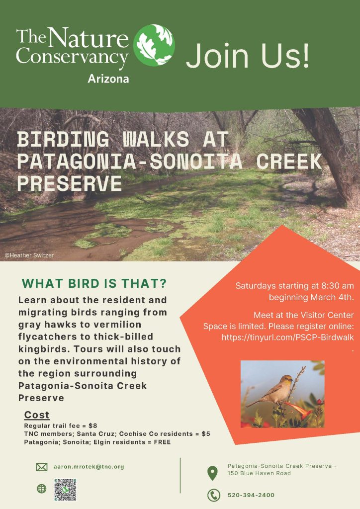 Birding at the Patagonia - Sonoita Creek Preserve - Visit the Sky ...